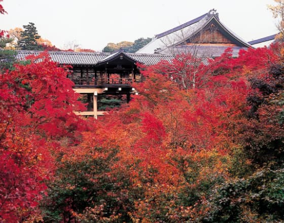 臨済宗大本山 東福寺ガイド